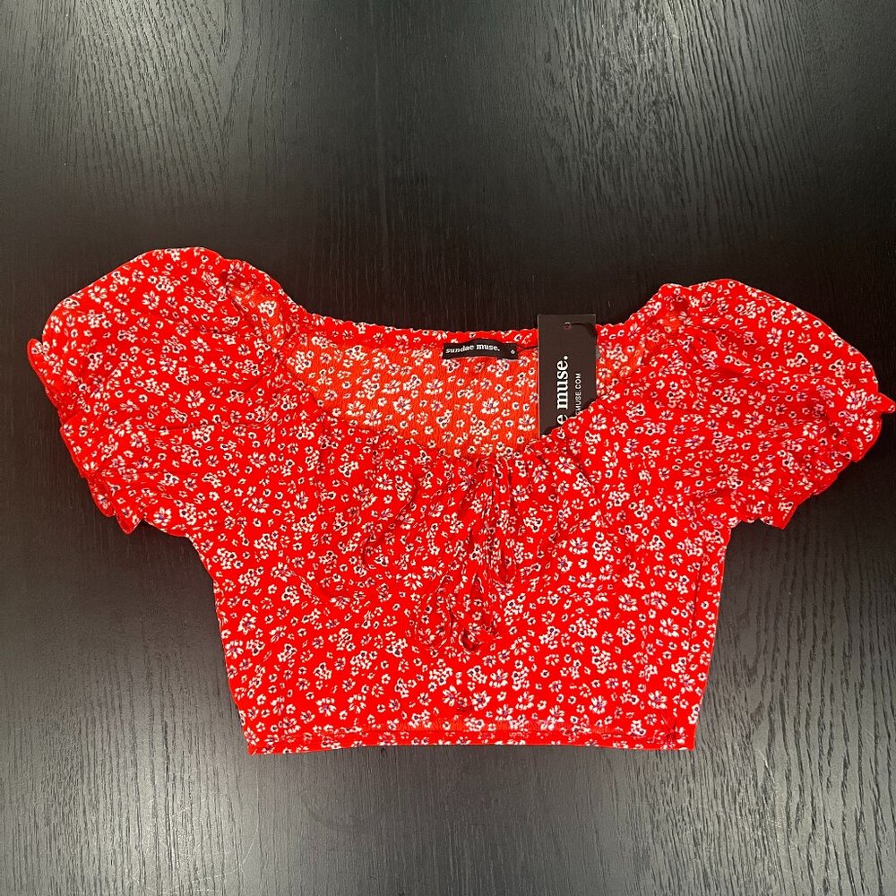 Sundae Muse Red Crop Top